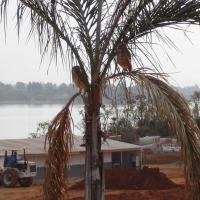 Foto de Brasilia