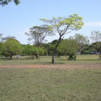Foto de Brasilia