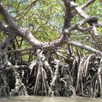 Foto de Rio Tinto (PB)