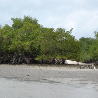 Foto de Rio Tinto (PB)