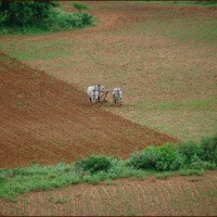 Foto de BAGAN