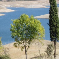 Foto de Cazalla de la Sierra