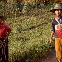 Foto de BAGAN