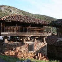 Foto de Siones