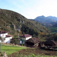 Foto de Siones