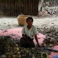Foto de BAGAN