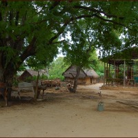 Foto de BAGAN