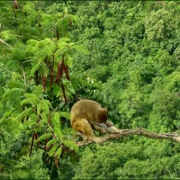 Foto de MONTE POPA