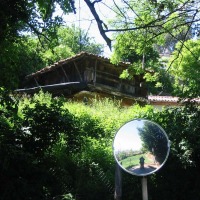 Foto de Ules