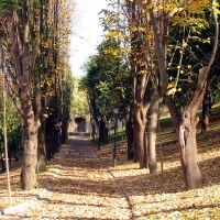 Foto de Oviedo