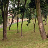 Foto de Oviedo