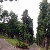 Foto de Oviedo