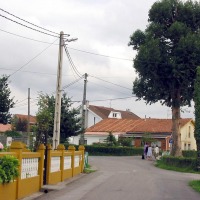 Foto de Lugones