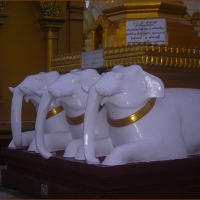Foto de YANGON