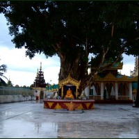 Foto de YANGON