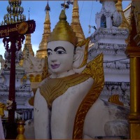 Foto de YANGON
