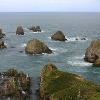 Foto de Nugget  Point.