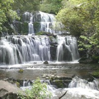 Foto de Catlins.