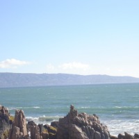 Foto de VIÑA DEL MAR