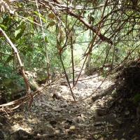 Foto de Formosa (Goiás)