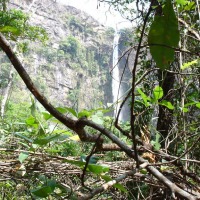 Foto de Formosa