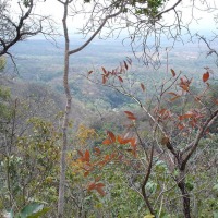 Foto de Formosa (Goiás)