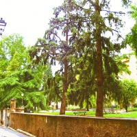 Foto de Verona