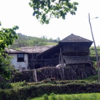 Foto de Ibias