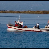 Foto de Delta del Ebro