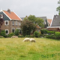 Foto de Voledam