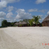 Foto de Witte Beach