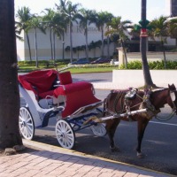 Foto de Santo Domingo, Republica Dominicana