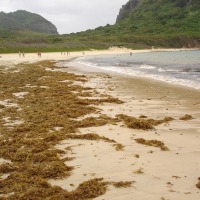 Foto de Fernando de Noronha