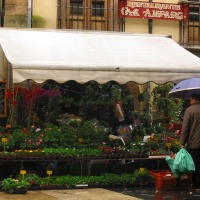 Foto de Oviedo