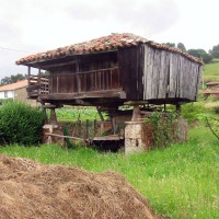 Foto de Pravia