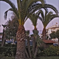 Foto de Roc de San Cayetano