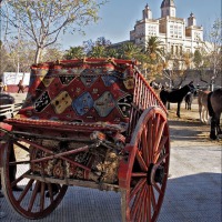 Foto de Arboc