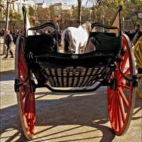 Foto de Arboc