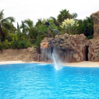 Foto de Tenerife
