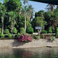 Foto de EL CAIRO
