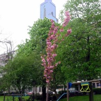 Foto de Oviedo