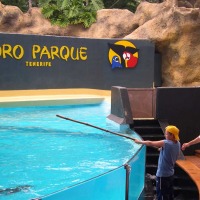 Foto de Tenerife