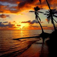 Foto de punta cana