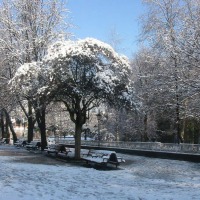 Foto de Oviedo