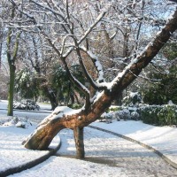Foto de Oviedo