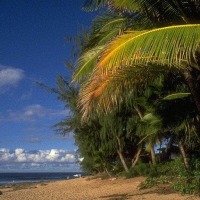 Foto de Tela (Atlantida)