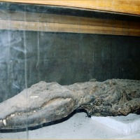 Foto de KOM OMBO
