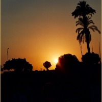 Foto de LUXOR (TEBAS)
