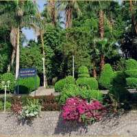 Foto de ISLA ELEFANTINA