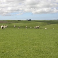 Foto de Fortrose